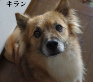f0238772_22222832.jpg