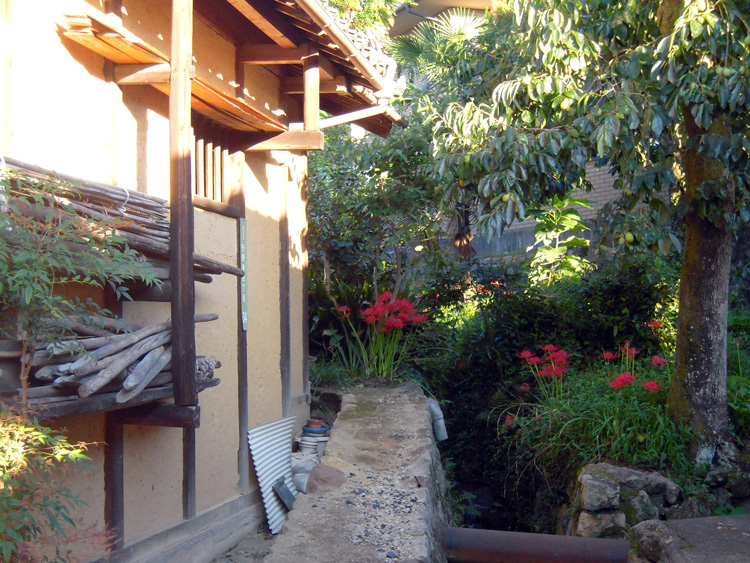 わが町の彼岸花_f0130879_22135942.jpg