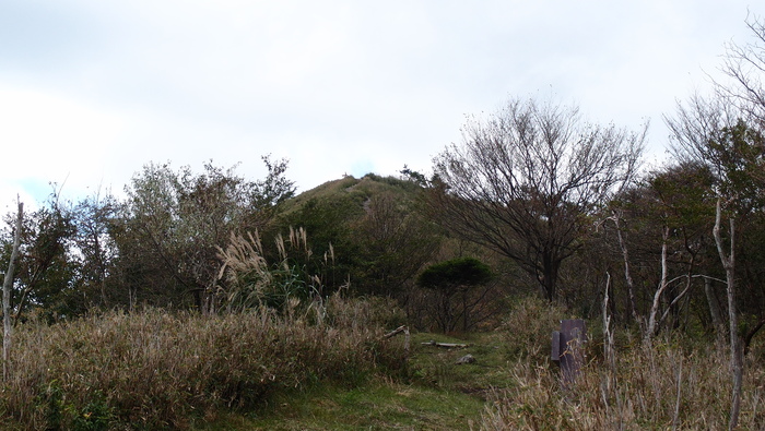 e0024081_2215616.jpg