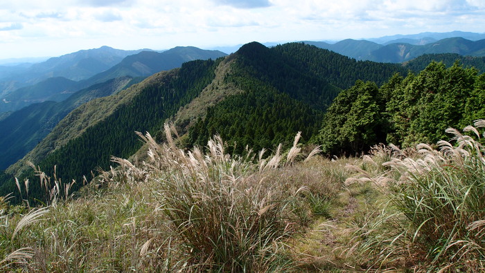 e0024081_2222454.jpg