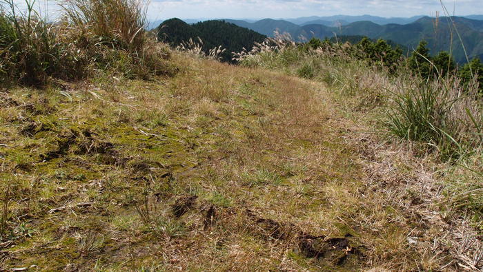 e0024081_2224677.jpg