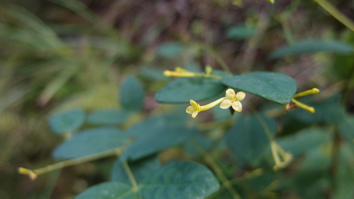 e0024081_22433119.jpg