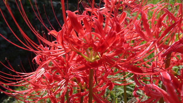 e0024081_22442080.jpg