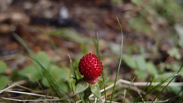 e0024081_22465164.jpg