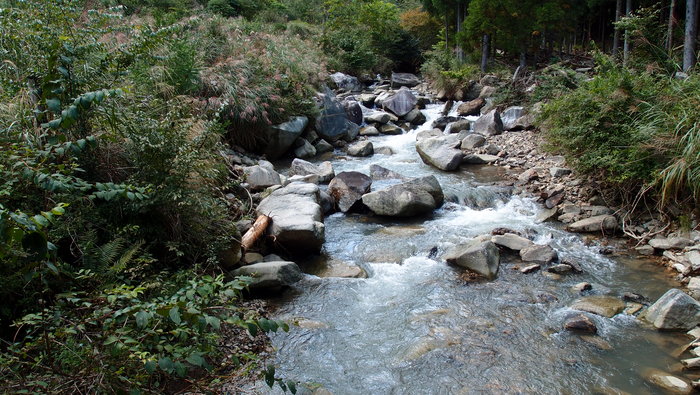 e0024081_22472772.jpg