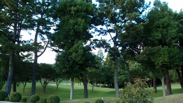 e0024081_22504462.jpg