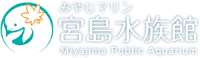 a0233991_11552182.png