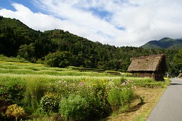 お一人様歓迎ツアー（初秋の白川郷③）_f0064192_182623.jpg