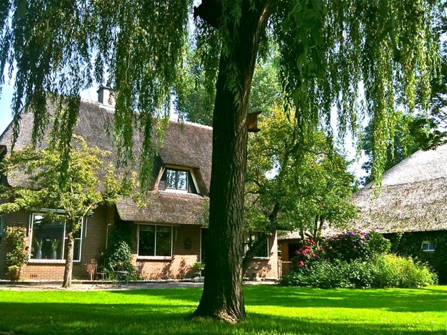 c0171899_1444273.jpg