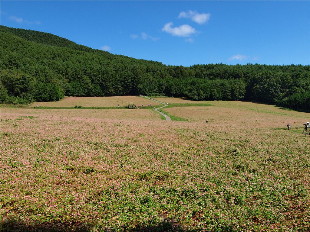 f0224100_8574021.jpg
