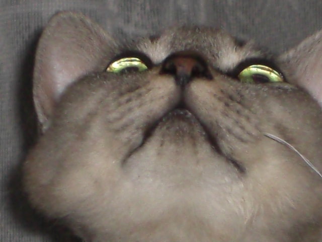c0072801_10422087.jpg