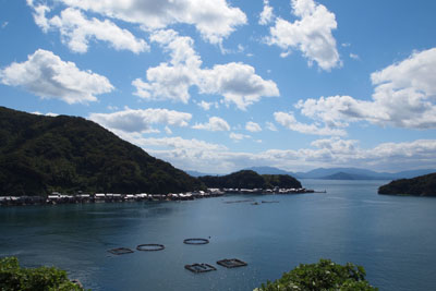 d0090101_20543785.jpg