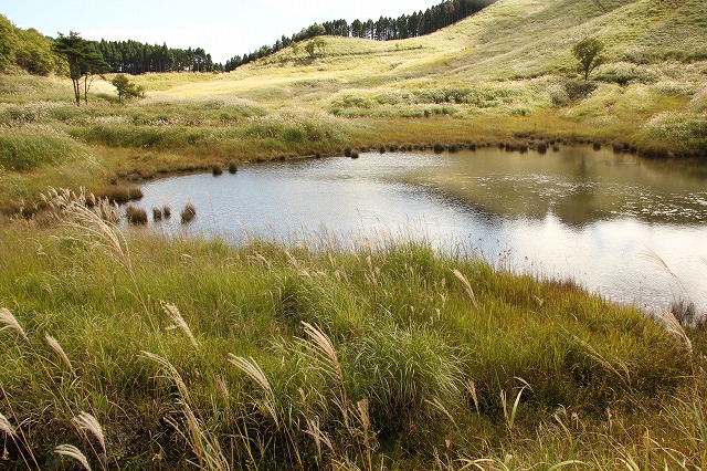a0123003_2111294.jpg