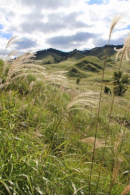 a0123003_21514358.jpg