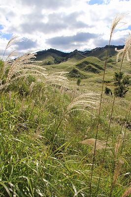 すすきの草原　ノルウェーの森ロケ地　砥峰高原_a0123003_21514358.jpg