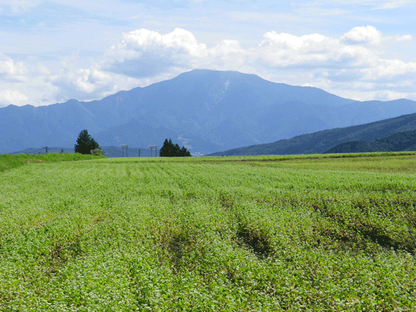 b0000209_20134342.gif