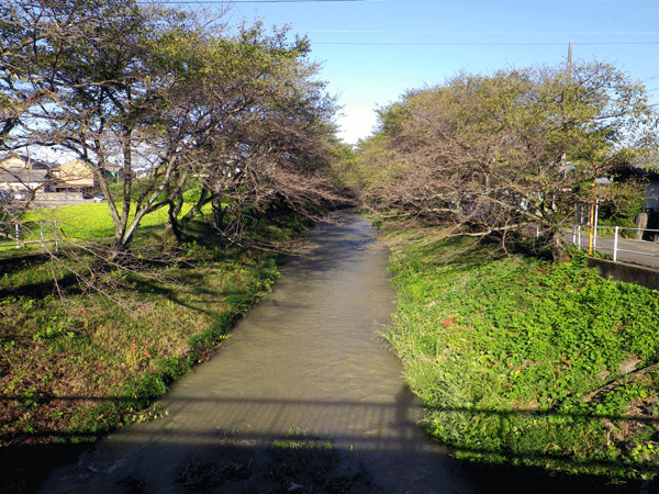 b0000209_20182426.gif