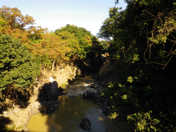 b0000209_20185843.gif