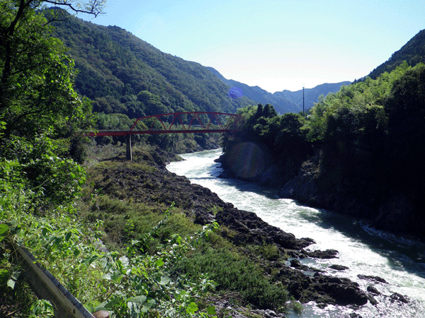 b0000209_20375768.gif