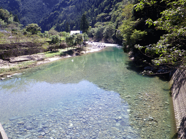b0000209_2040168.gif