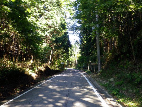 b0000209_20523194.gif