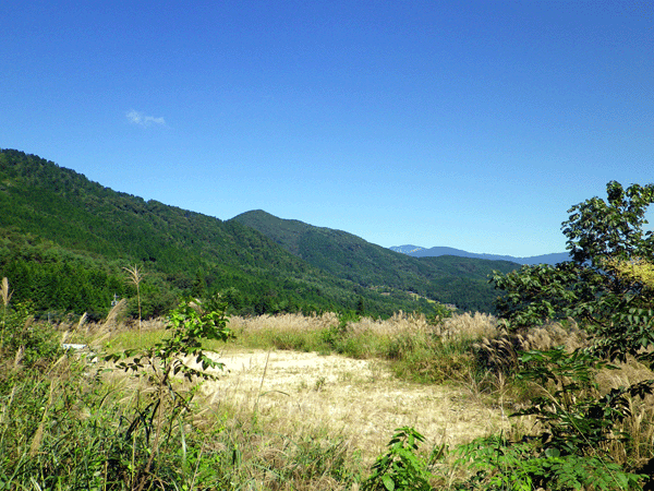 b0000209_20554870.gif