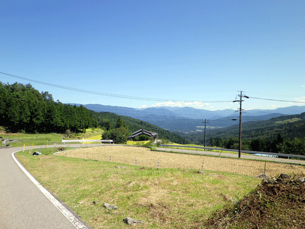 b0000209_2056829.gif
