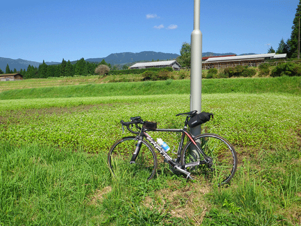 b0000209_21113541.gif