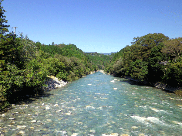 b0000209_216738.gif