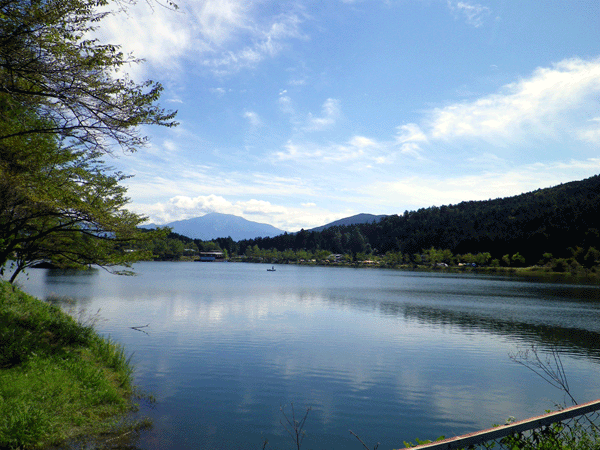 b0000209_219259.gif