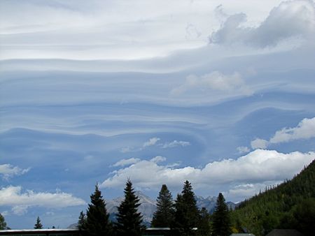 b0051109_7443.jpg