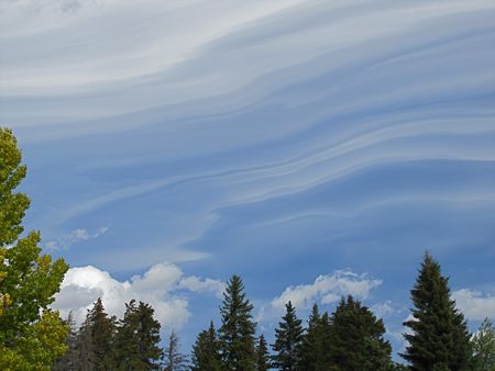 b0051109_75695.jpg