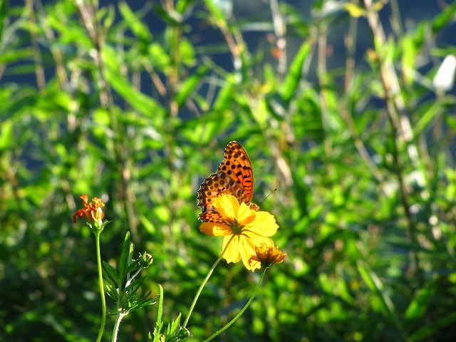 d0037110_22243699.jpg