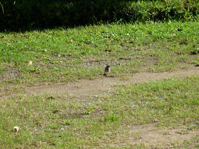 d0037110_22283056.jpg