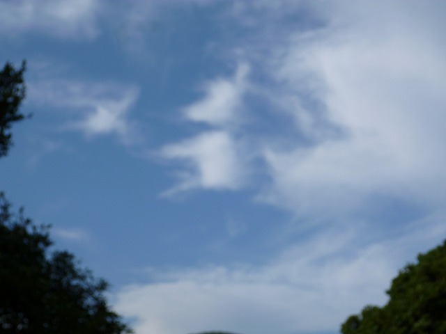 d0037110_22382883.jpg