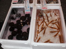 北海道　札幌中央市場　食べつくし_d0027711_1928714.jpg