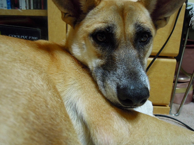 f0218911_14233.jpg