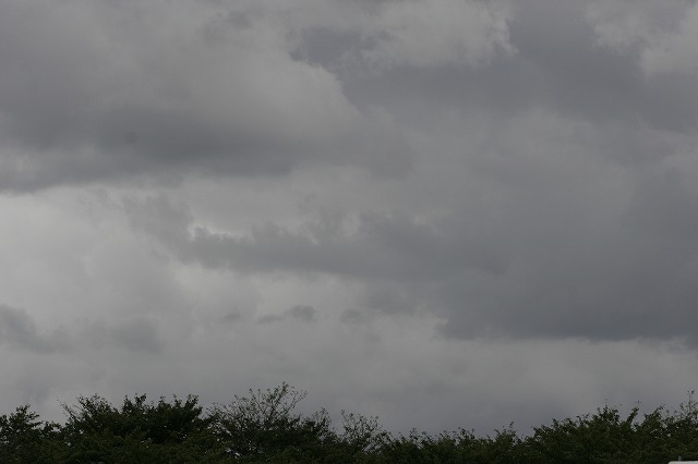 a0098513_2344786.jpg