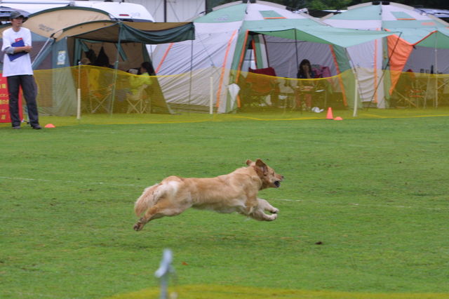 e0204314_11244287.jpg