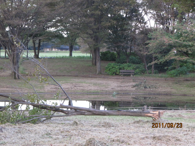c0200916_3785.jpg