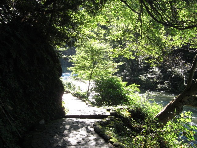 c0225420_2354314.jpg