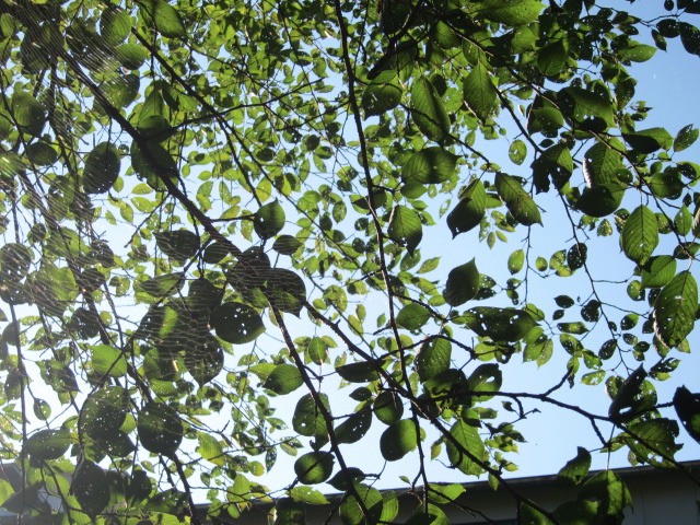 c0225420_236446.jpg