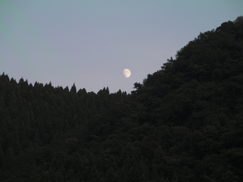 f0142721_1145833.jpg