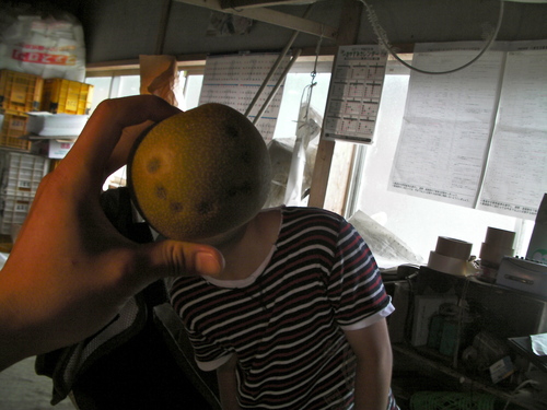 f0142721_17163475.jpg