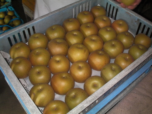 f0142721_17305780.jpg