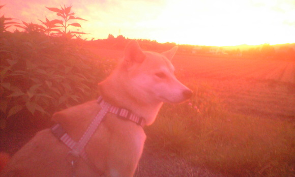 e0227023_20571575.jpg