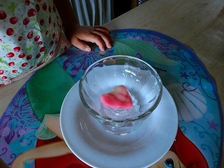 f0170524_16214710.jpg