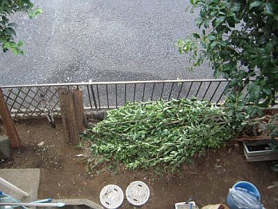 e0108126_7274340.jpg