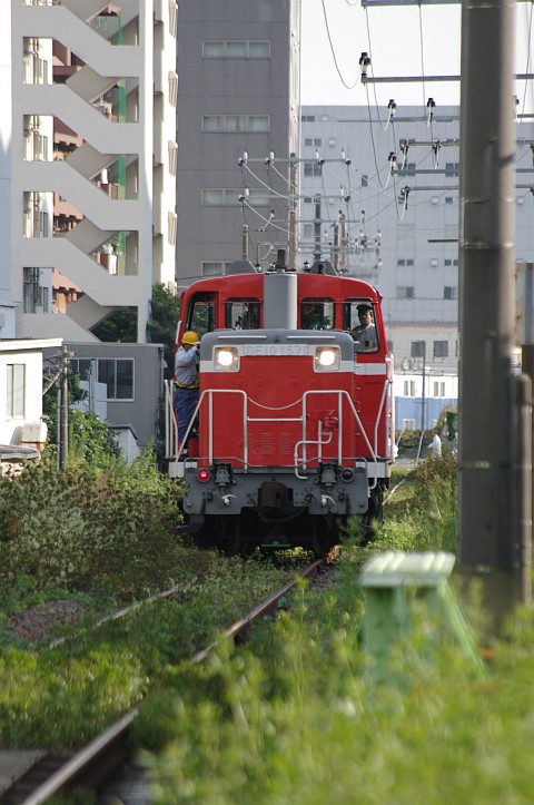 今日の越中島(9/24)_f0203926_2324170.jpg