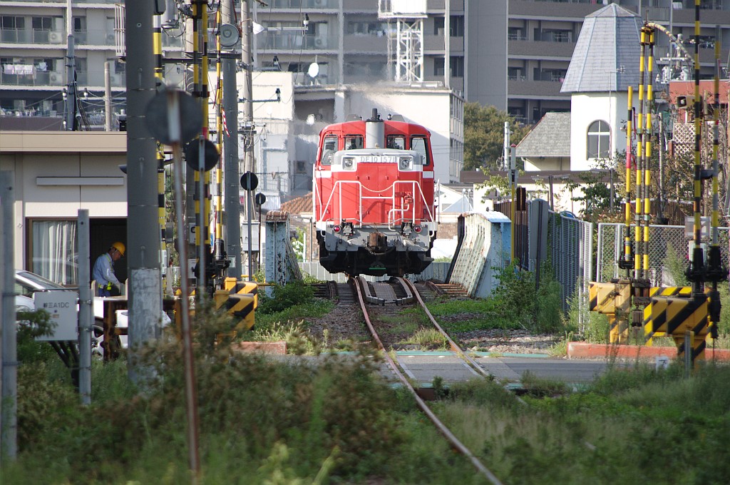 今日の越中島(9/24)_f0203926_236787.jpg